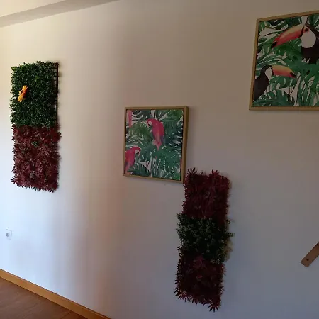Kompleks wypoczynkowy Passadicos Do Paiva House